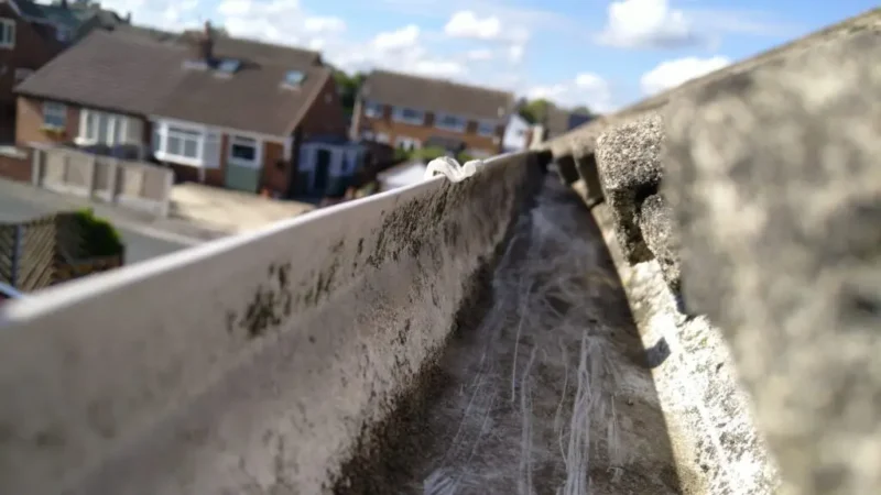 difficult gutter to clear in Rothwell with slipped tiles - cleared underneath.