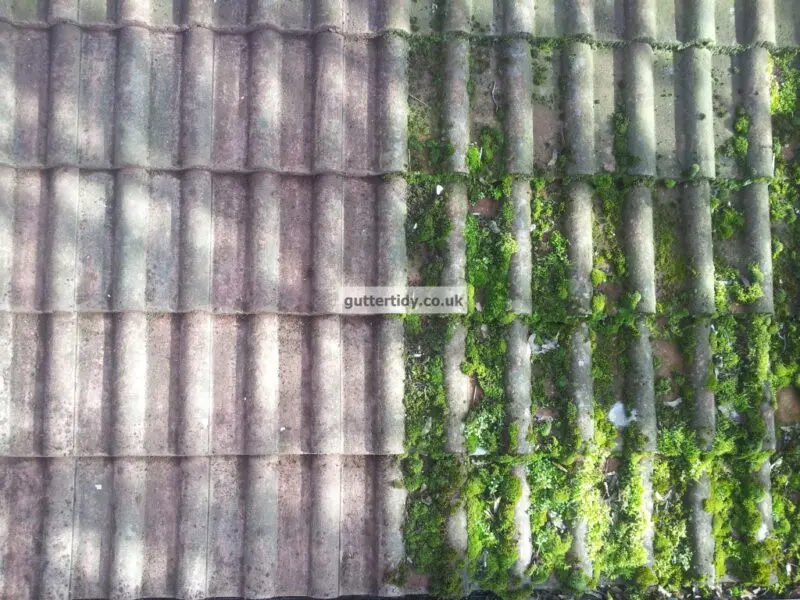 an actual roof halfway through cleaning. have cleaned with no moss and then moss on the other half