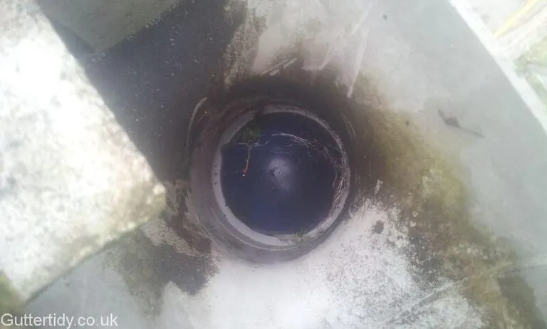 tennis-ball-discovered-in-down-pipe-moortown-leeds