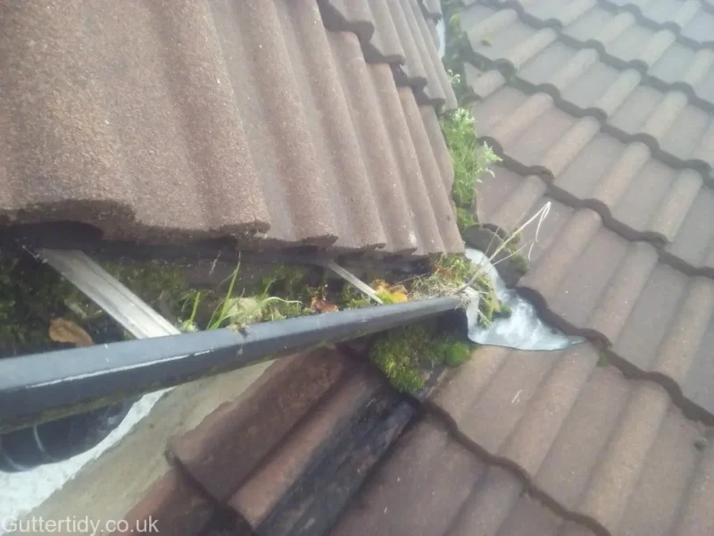 Gutter cleaning in Oakwood before