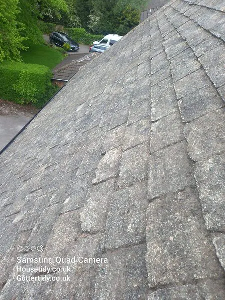 Roof after cleaning in Alwoodley