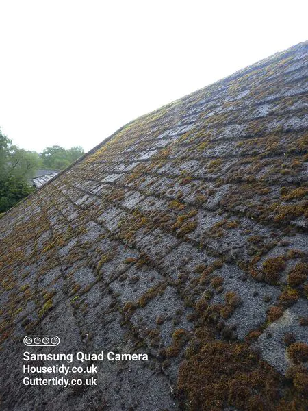 Alwoodley roof before Cleaning
